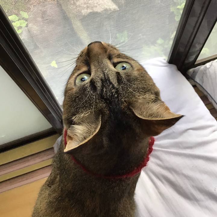 1814086a dee2 4b27 a6cd 0646afbf79cc 1598481964548