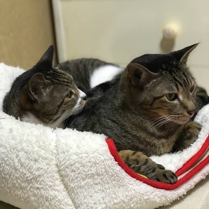 181417e0 8f8a 44f1 b6cd d7d7c8e4a0e0 1524705017264