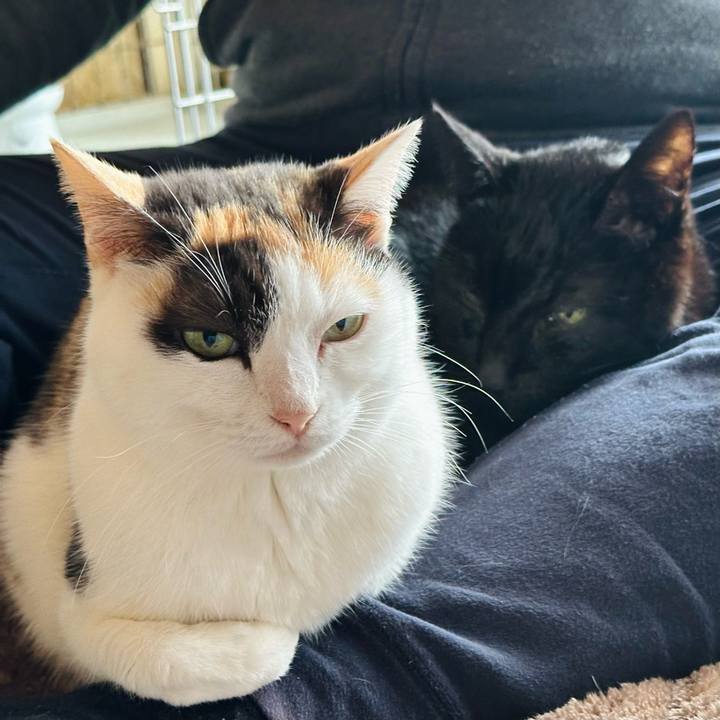 18142b77 8430 4709 8165 85868792074c 1707443768407