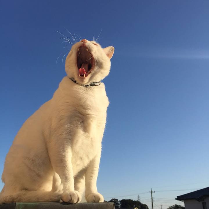 1814305e b679 411a a3bc 6522b6b0e3e1 1540106467299