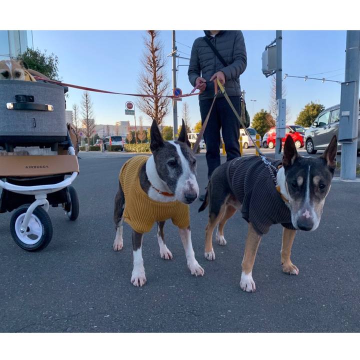 18146b49 f454 4f12 95e1 09d5f05c73de 1612601695588