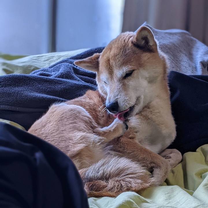 18148e06 d7f6 47ce 803d a67ca1a25b1d 1638060561390