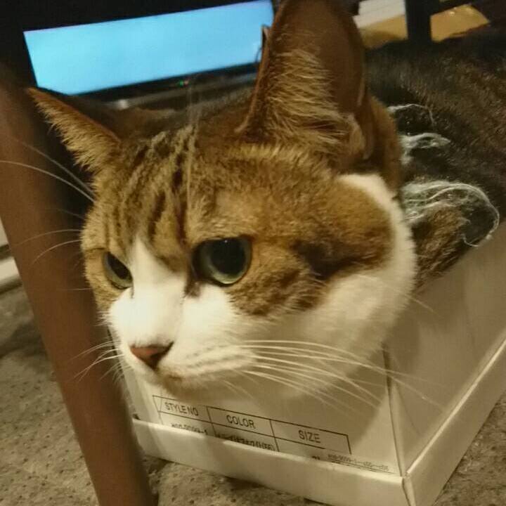 18149d93 2b12 4865 afba 59aa7abca3af 1531222719581