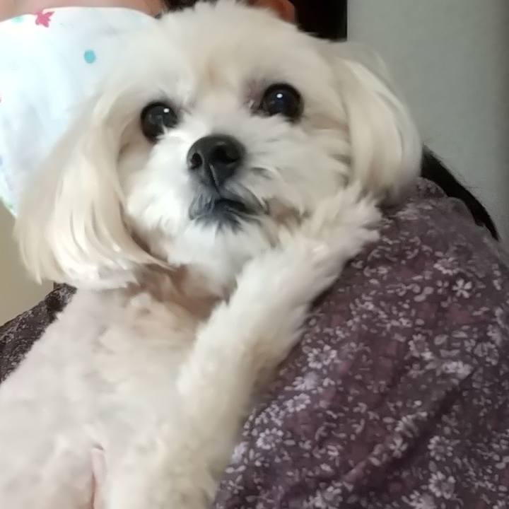 1814c992 4463 49b9 ab63 07d4584a6996 1601639458965