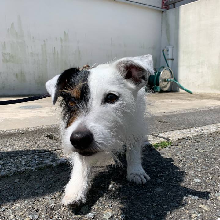 1814ceac 9f8a 46c0 8130 04aa3c368ffb 1653266382672