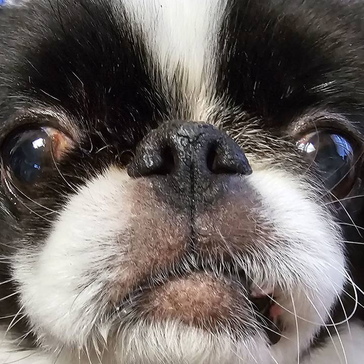 181537f7 94f8 4988 b9c8 be7bcafb6381 1734473792726