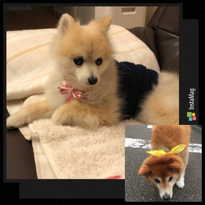 18156ad3 c2dd 4c01 a55d 0a5e6c78c4a6 1514450072251