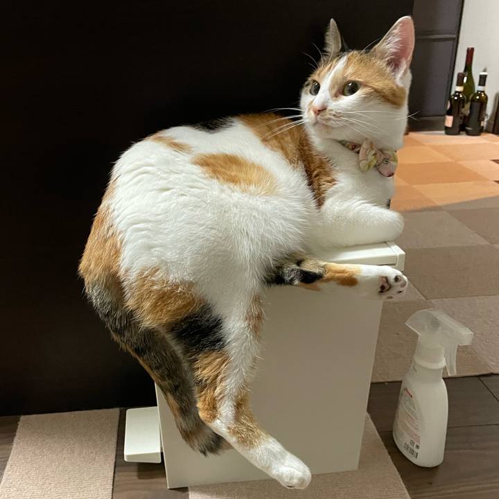 18156dc4 4068 44e1 b15d 7c900c4d190b 1635344484372