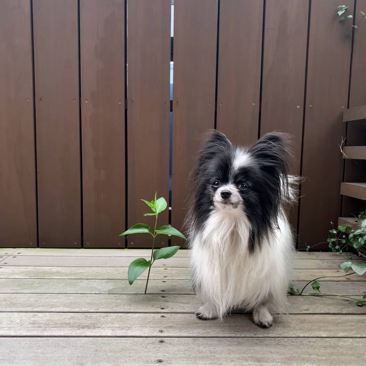 181577cb 9e70 4d57 a8d2 58d66abc00c9 1585383555284