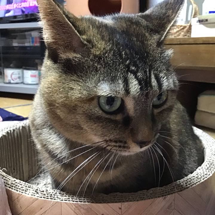 1815a141 3995 482e 9eb6 69897cc3d840 1704803155597