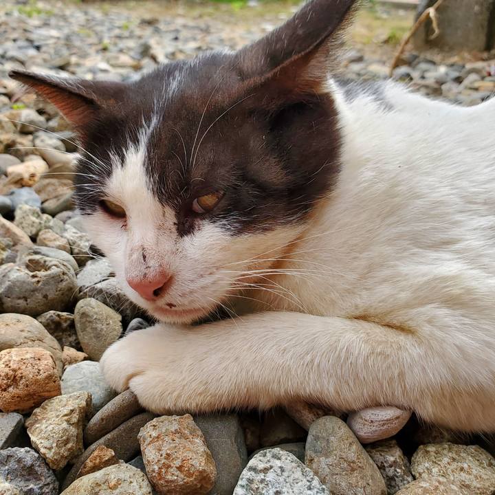 1815a8a5 5fc6 4b62 99a4 1ff3b71329c6 1695737636109