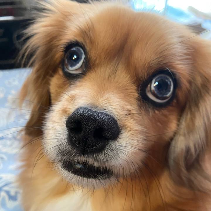 1815abf0 4a5b 4a76 8e57 432a543e7b46 1609028326886