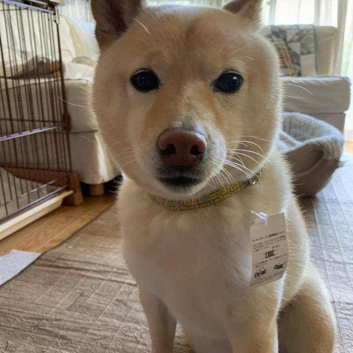 1815af49 eeb5 4390 afac dc116747bec1 1653828258192