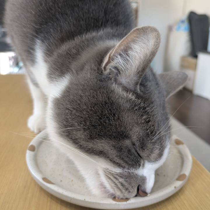 1815d65d 2be7 4cd3 956f 66fcc3fb4e6f 1770173155302