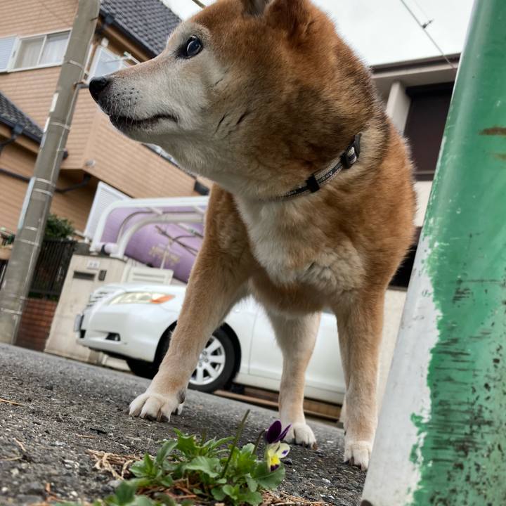 18162a43 2d4d 48b2 845c 3e795d778099 1711582426303