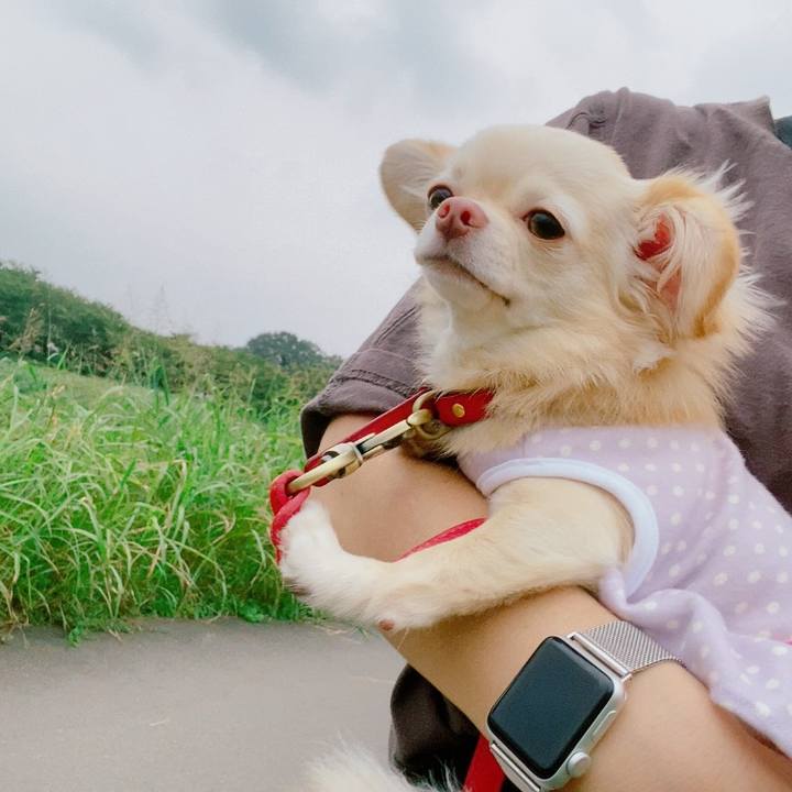 1816904a aa20 46b8 b018 d3f5b59696a8 1631452189264