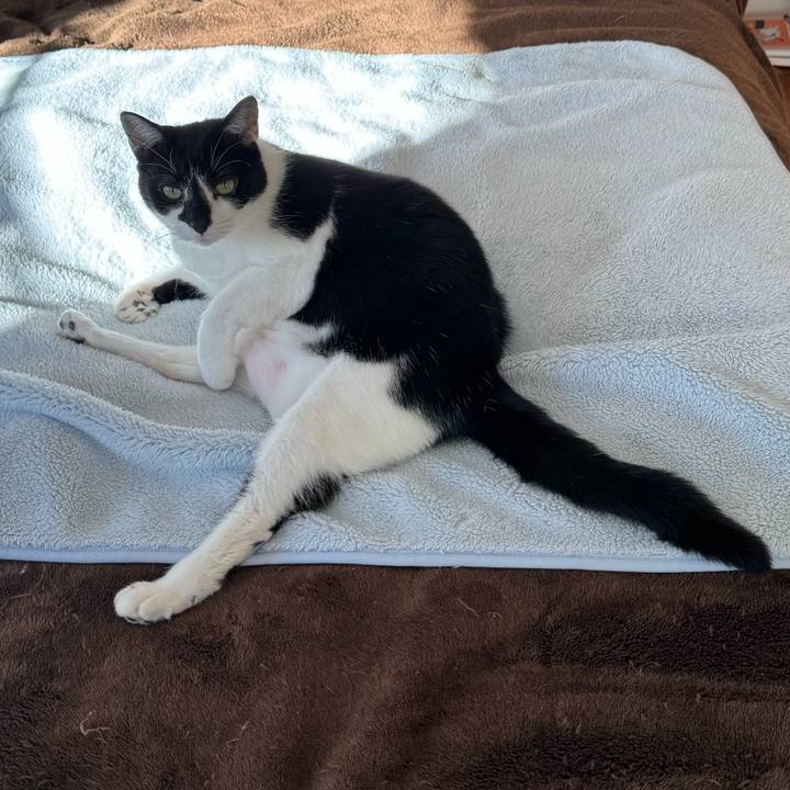 1816d541 33e2 43c7 a434 dd52786f92b0 1766715107589