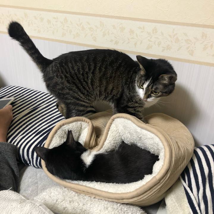 1816eac4 628a 4383 b2ed 552b14aedca0 1588315022328