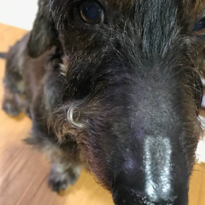 1817056a c37a 46fc 8fda b4f6fb5ad0aa 1549448289197