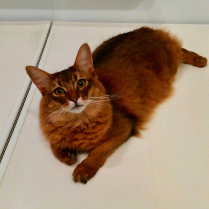 18170dc6 8ed9 476e b612 3aea1bfe78cb 1615812515143