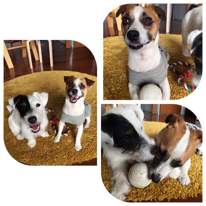 18170f2a b758 450b 9996 aaf3a13f0eba 1652354056684