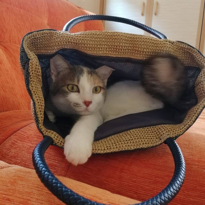 181729d8 aca8 47ef b6d1 d1a52135a377 1568360132710