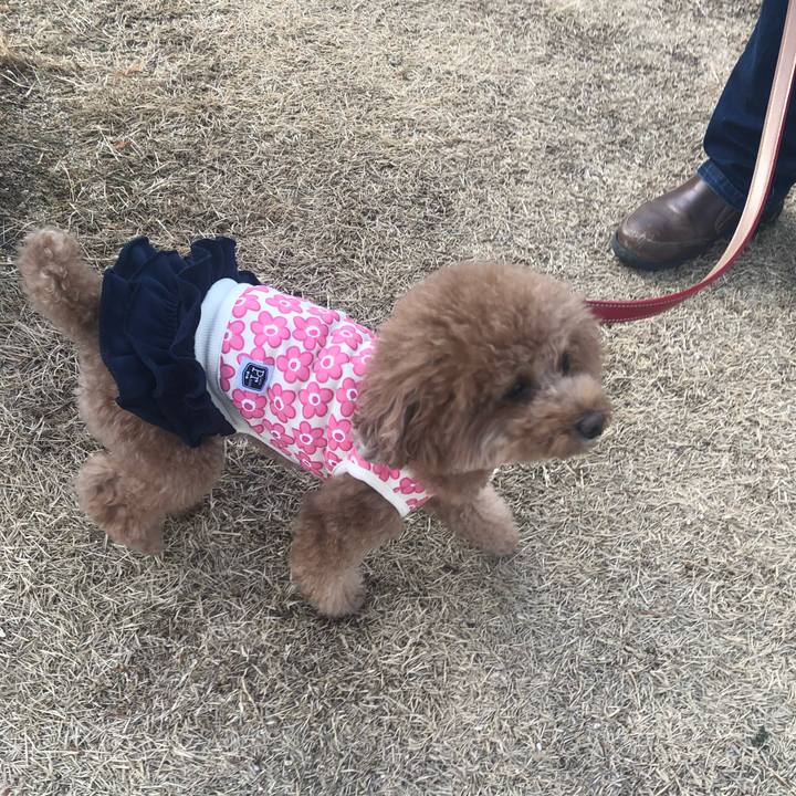 18174b2d f36b 4911 af53 cb7b9f586159 1611991427454