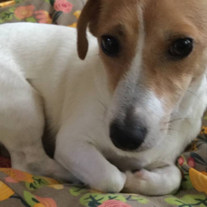 1817643a 9da1 4b49 8737 aa28d623cb2d 1534651026154