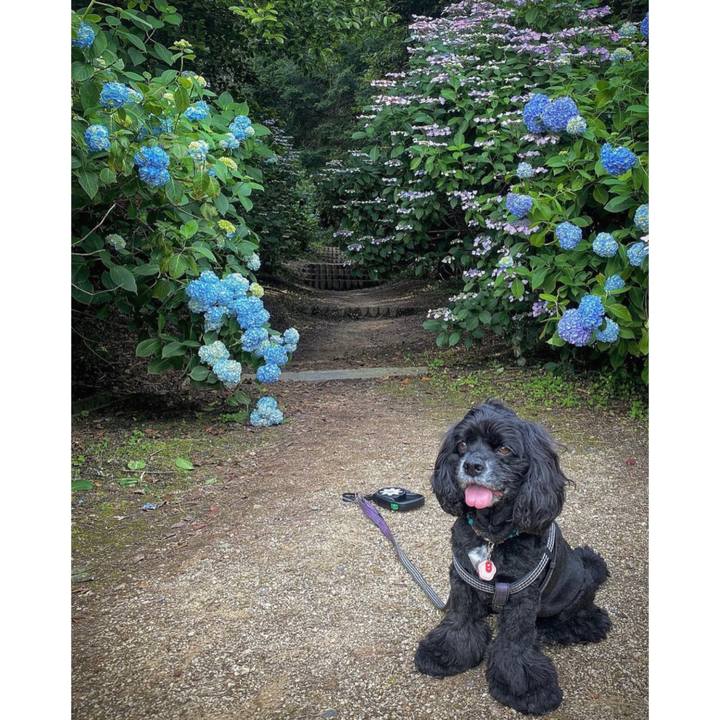 18176875 6103 4f37 a4da 086a96342855 1685883195786