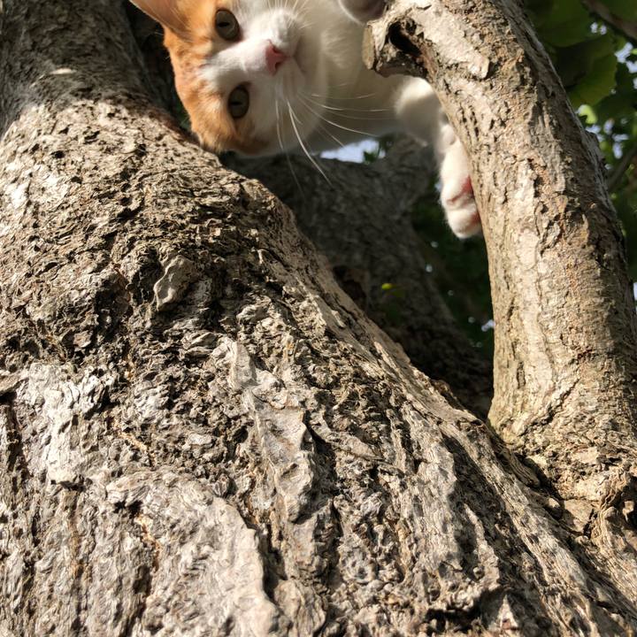 181785f4 7f31 4e95 82ab d43b336453b7 1538464346354