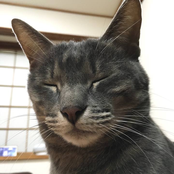 1817aae0 4f87 4d6f bb34 ae4355d25e1e 1573741976493