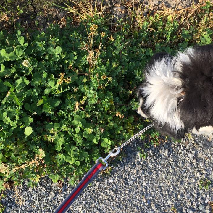 1817d60c 810a 4d68 9887 deb4ec171f79 1554429162728