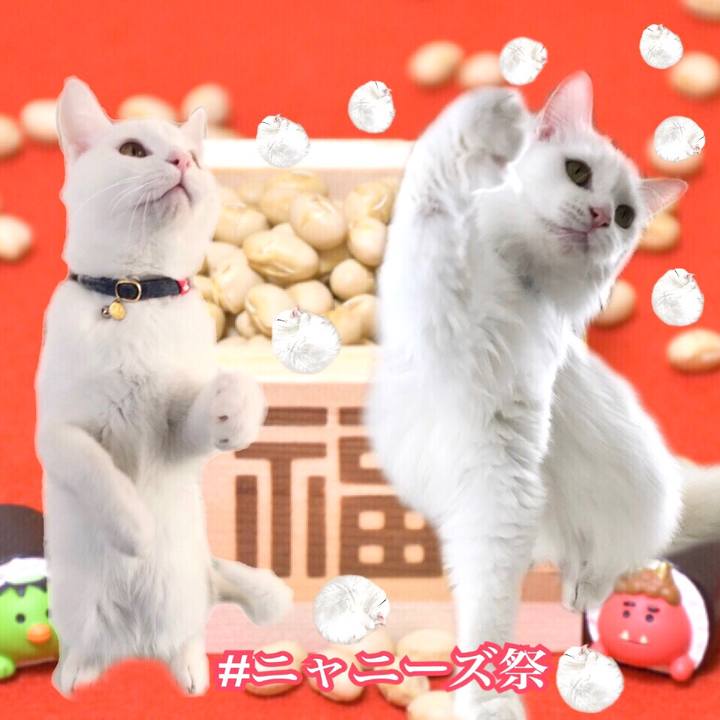 18181027 beeb 4b83 b1dd d6ddc8295742 1580655783924