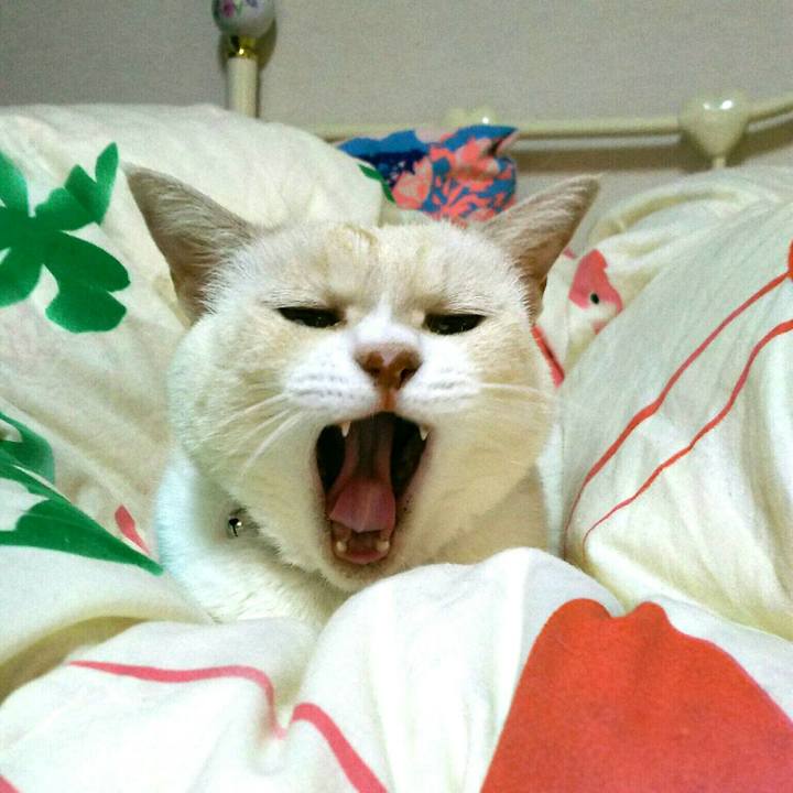 181811f6 37eb 42fe 845d d4acc54b6bad 1508504026586