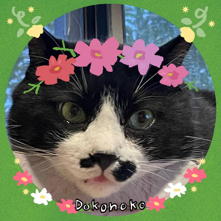 1818161f 637e 4c5a 9f2a 4a53d3d53caa 1726809299120