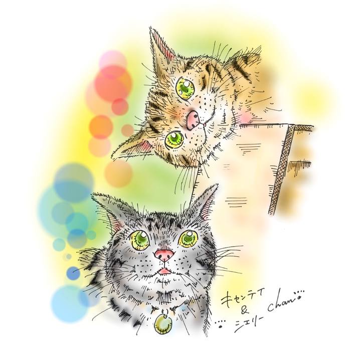 18182f68 d122 4dea aab0 06a946813b6d 1584734038727