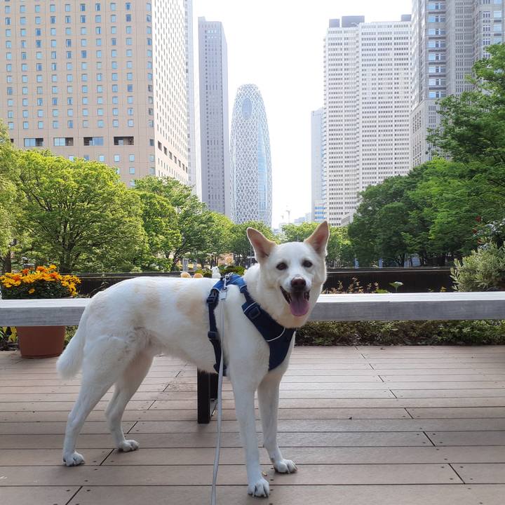 1818768d 4bc3 475c b84f 013f2d7ab524 1683345752967