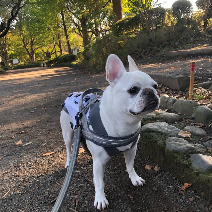 18187c28 0b16 4796 9317 91c5a3655672 1666487374877