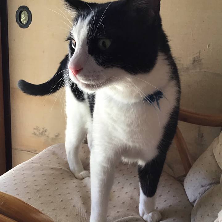 1818a746 594f 4ad2 8cf6 f50a3f26e89b 1757225946100