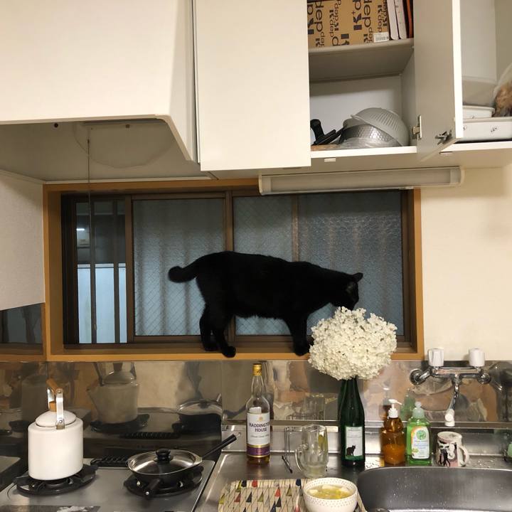 1818b5ab 4624 4c53 86ce b5ff77d18d72 1561727316616