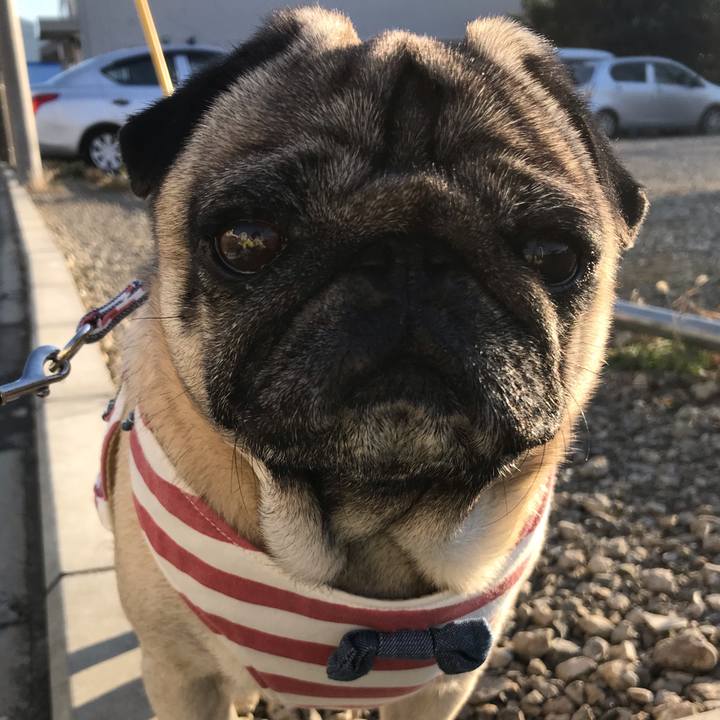 1818fe8f f350 4032 8fc6 aa9180d8c20e 1578196563681