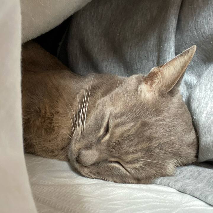 18192902 c474 48e3 82da 7726ae21fb89 1648637182012