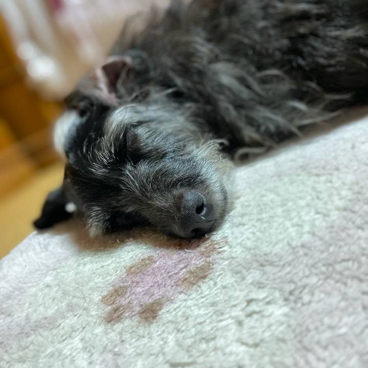 18195cf2 c60d 4867 98e1 4276ab900092 1612738645032