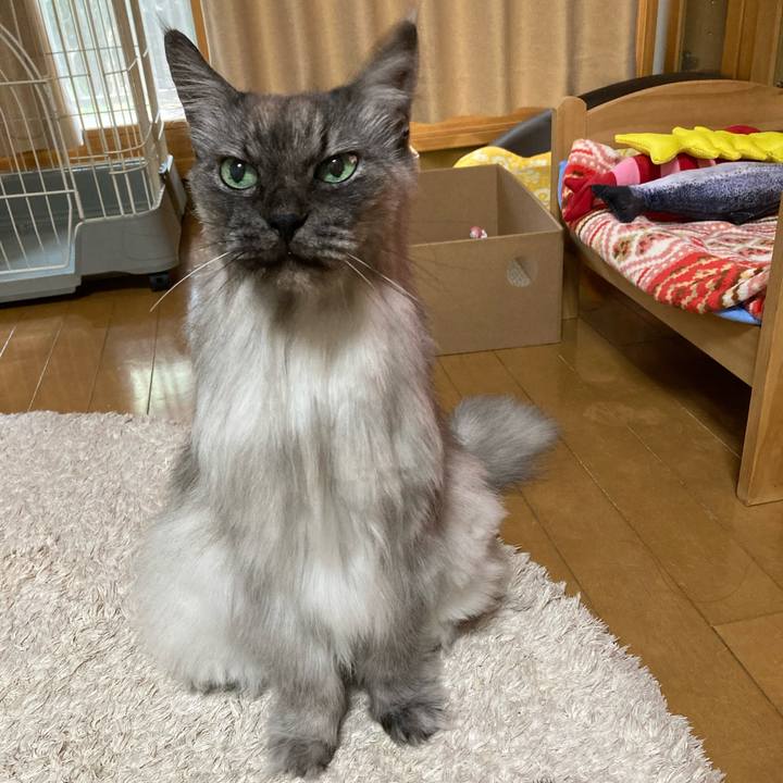 18195ffc c648 4eb3 9957 dba0c7fe0fc7 1710810619606