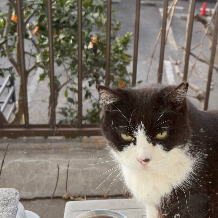 1819606f bcb3 48fd a8bd 0255cceda0c4 1769558138328