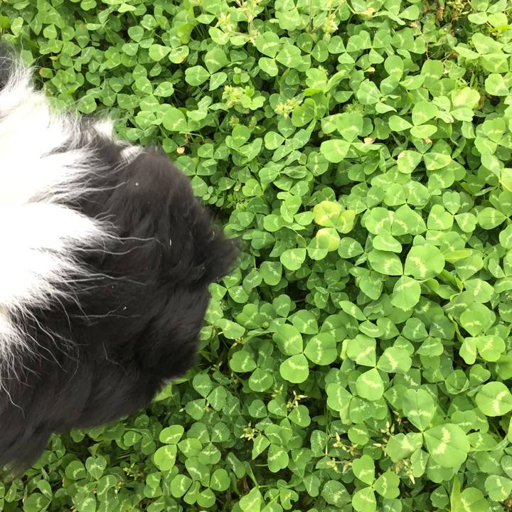 18197829 03b7 497f a798 2c55f4a06cc2 1583280310376