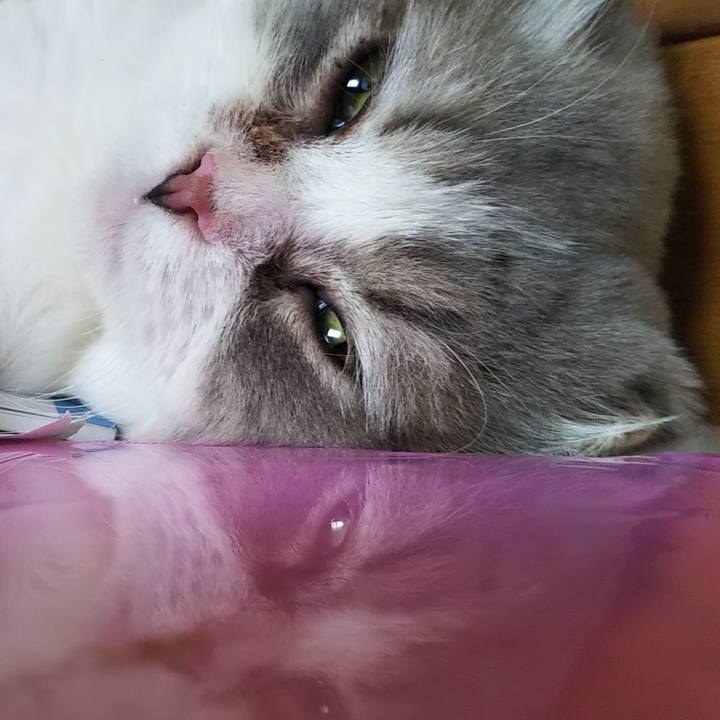 1819d191 e57c 46a0 8d2b 649acda78ece 1627437873655