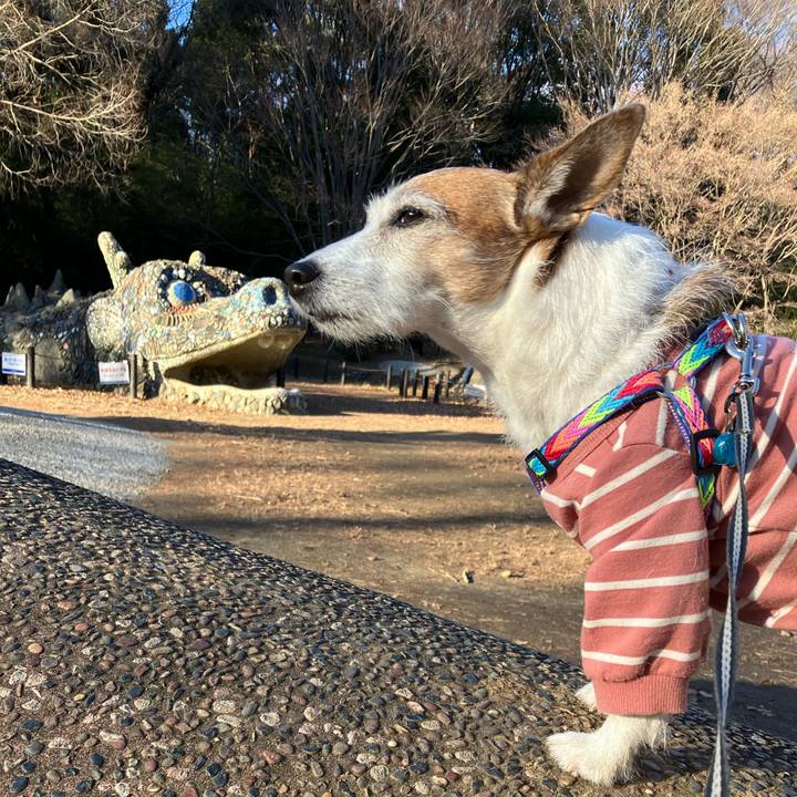 1819daeb b9c3 4aa0 aeab edf74d26a114 1674516177530