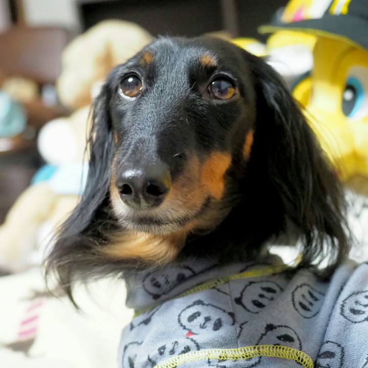 181a2fa0 e224 40c4 96a8 9f814db55622 1577104428133