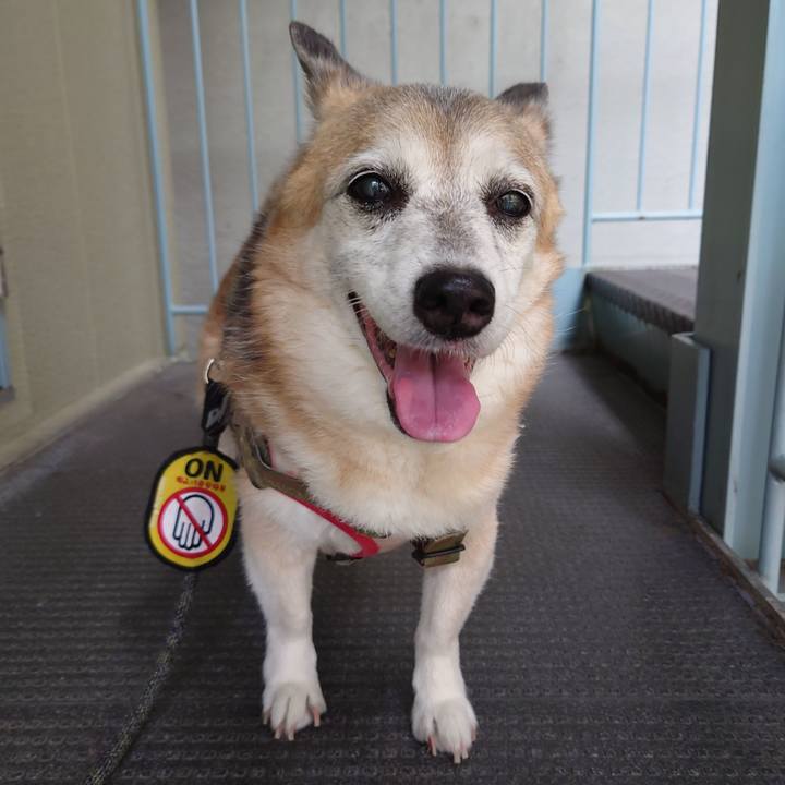 181a3285 fd6d 46a2 a74f a57488d45781 1721945973494